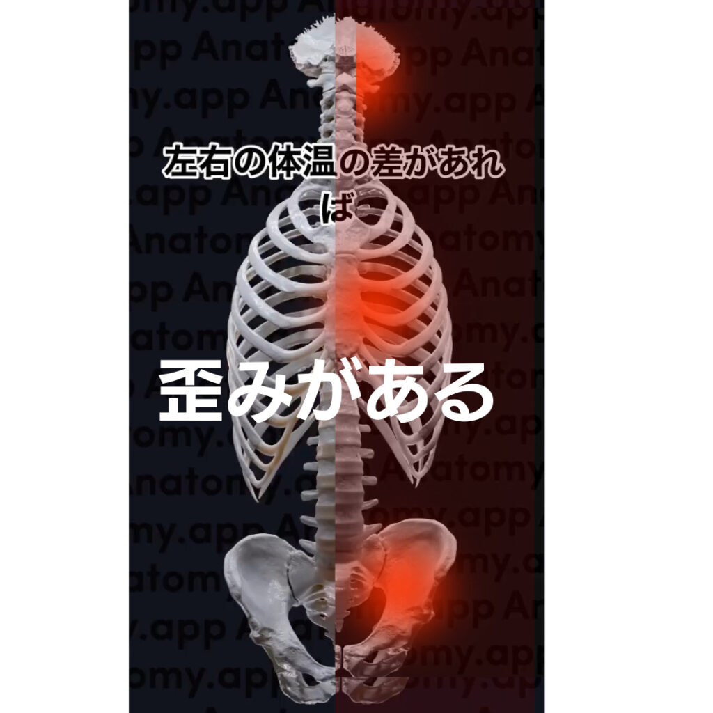 体温の左右差は体の歪み!整体で整える血流バランス