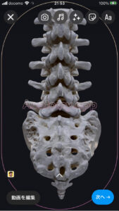 sacrum