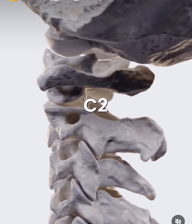 Cervical-subluxation