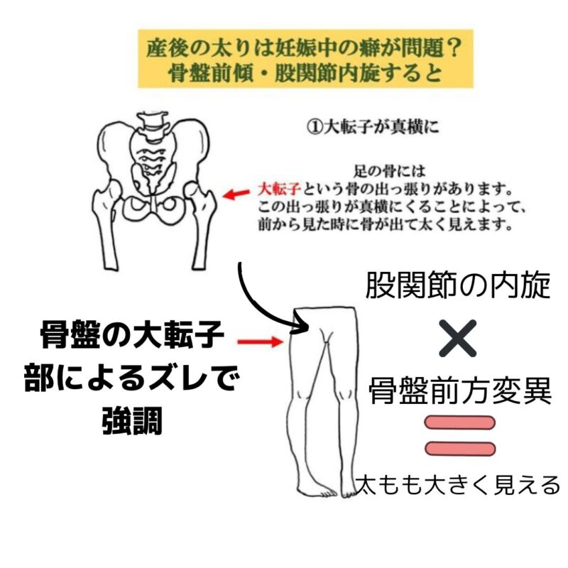 adduction-of-the-hip-joint