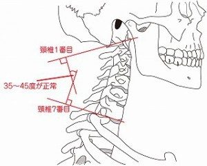 forearm-angle-of- cervical-vertebrae