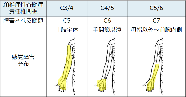 cervical-spine-test