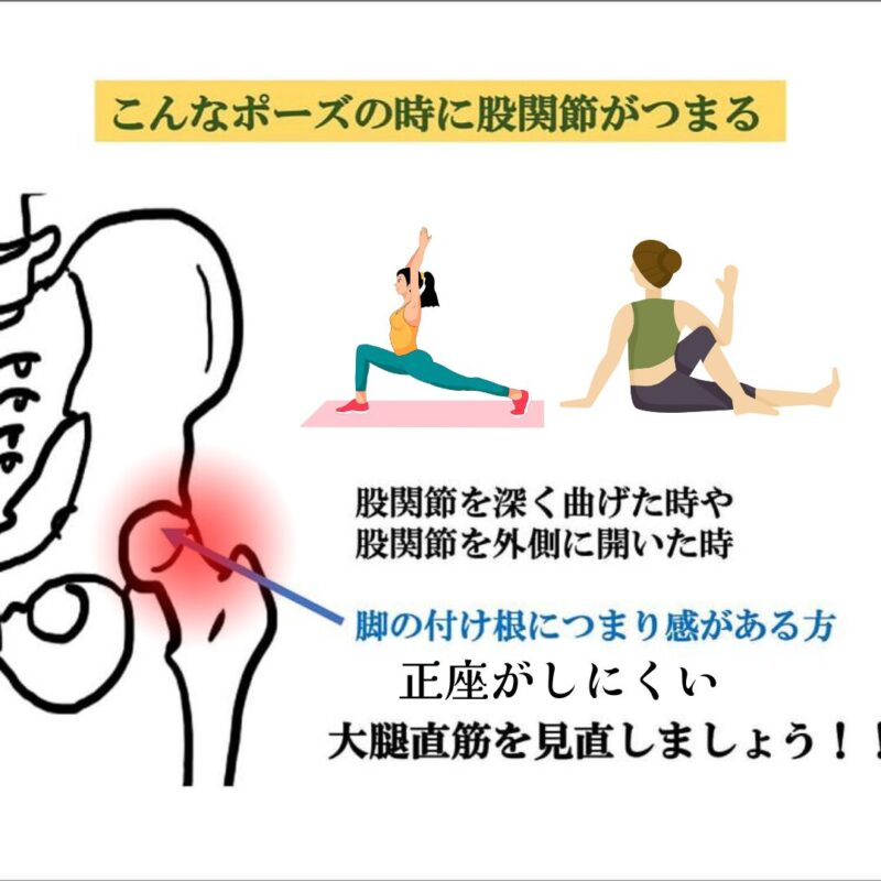 How-to-use-the-rectus-femoris