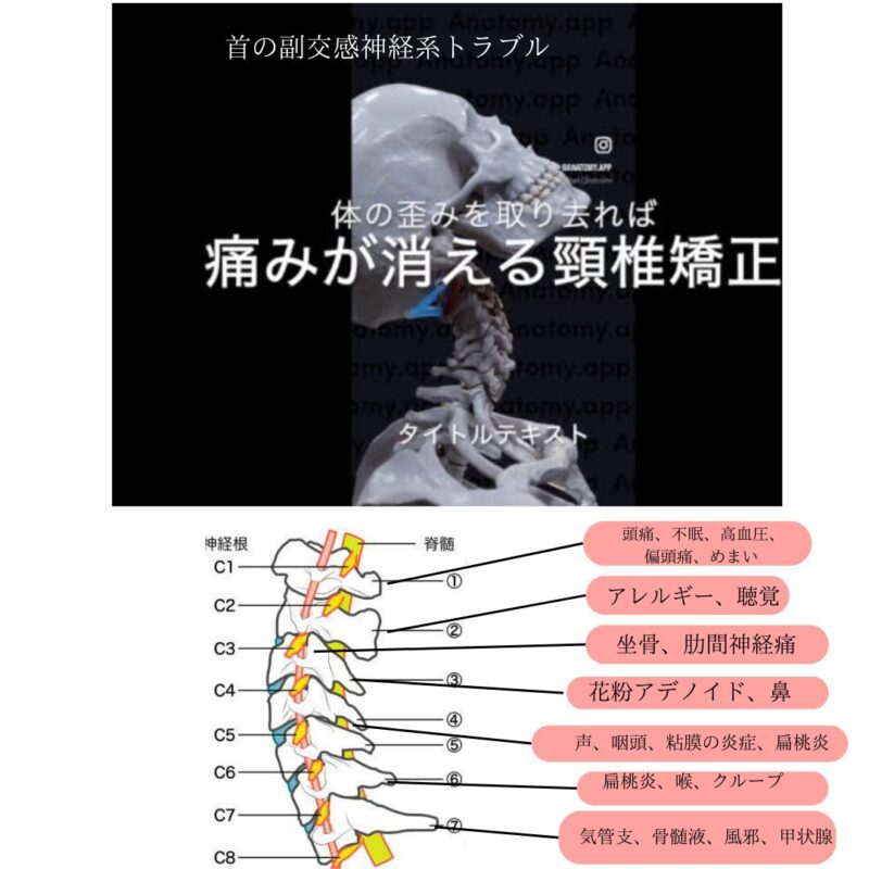 Autonomic-nerve- problems-in-the-neck