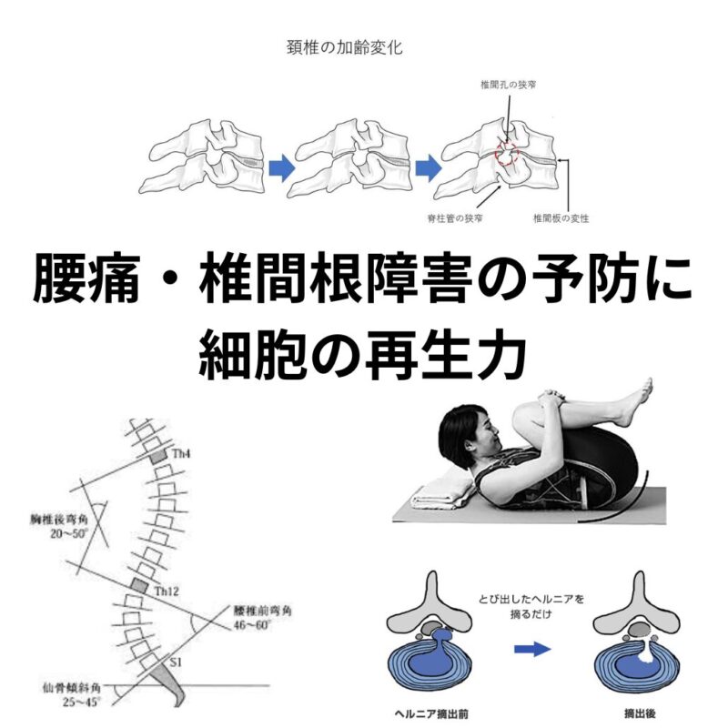 Collagen 1 effect