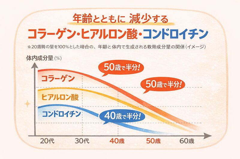 年代別のコラーゲンの生成、能力の減少