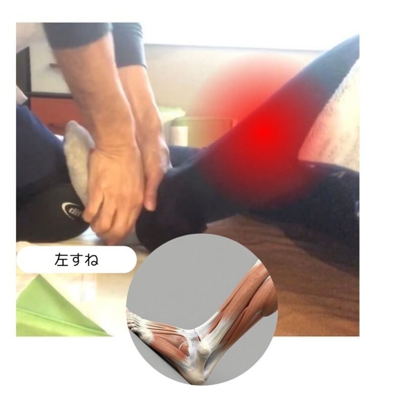 左スネ