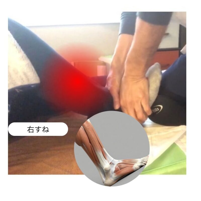 右スネ